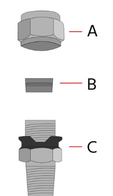 Service Details